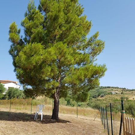 Villetta Nel Verde Ascea Exterior foto